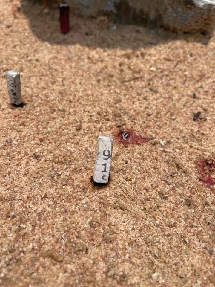 -อ๊อฟซีวิค-2-5-66