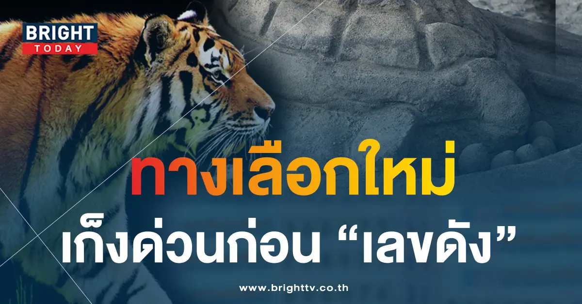เสือกินไข่เต่า 1