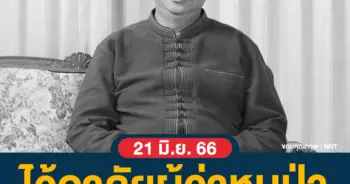 ผู้ว่าหมูป่า