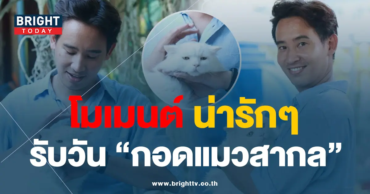 พิธาอุ้มแมว02