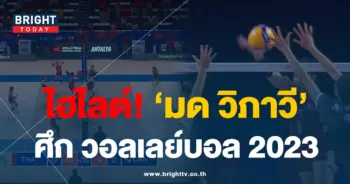 ไฮไลต์