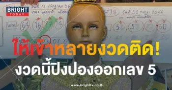 เลขเด็ด ปิงปองน้องเพชรกล้า 31 7 66-4-min