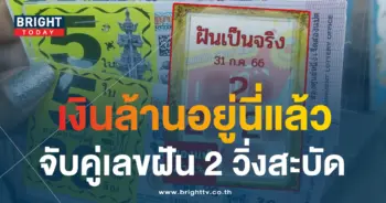 หวยฝันเป็นจริง 31 7 66