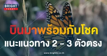 เลขเด็ด ผีเสื้อเทวดาให้โชค 31 7 66-1-min