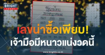 เลขเด็ด มิสเตอร์บอล 31 7 66-1-min