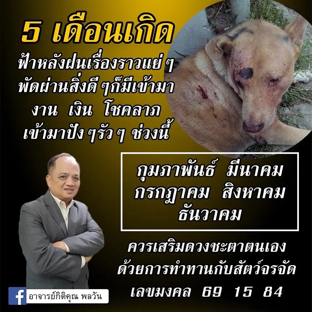 ดวงกรกฎาคม-2566-เลขมงคล-min-4