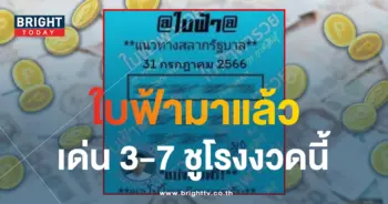 เลขเด็ด หวยใบฟ้า 31 7 66-1-min