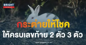 เลขเด็ด กระต่ายน้อยนำโชค 31 7 66-1-min