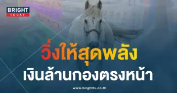 หวยม้าสีหมอก 31 7 66 1-min