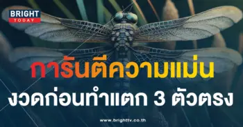 เลขเด็ด หวยแมงปอ 31 7 66-1-min