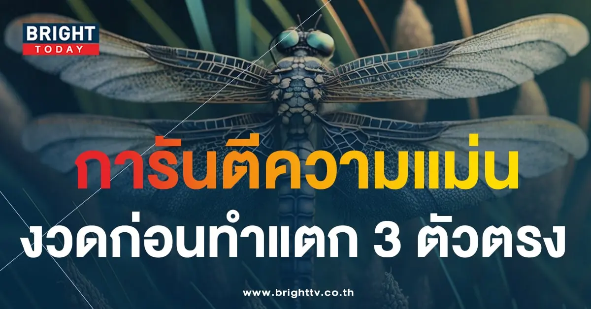 เลขเด็ด หวยแมงปอ 31 7 66-1-min