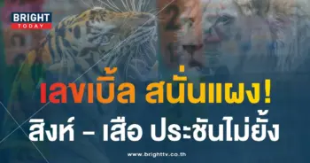 หวยสิงห์เหนือเสือใต้ 31 7 66-min