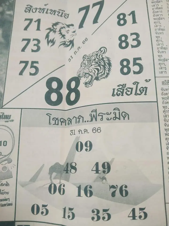 เลขเด็ด-สิงห์เหนือ-เสือใต้-16-7-66