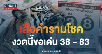 เลขเด็ด เสือตกถังพลังเงินดี 31 7 66-1-min