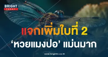 เลขเด็ด หวยแมงปอ 16 7 66-1-min