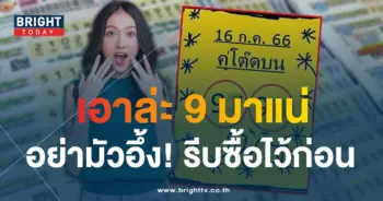 เลขเด็ด ใบเหลือง คู่โต๊ดบน 16 7 66-1-min