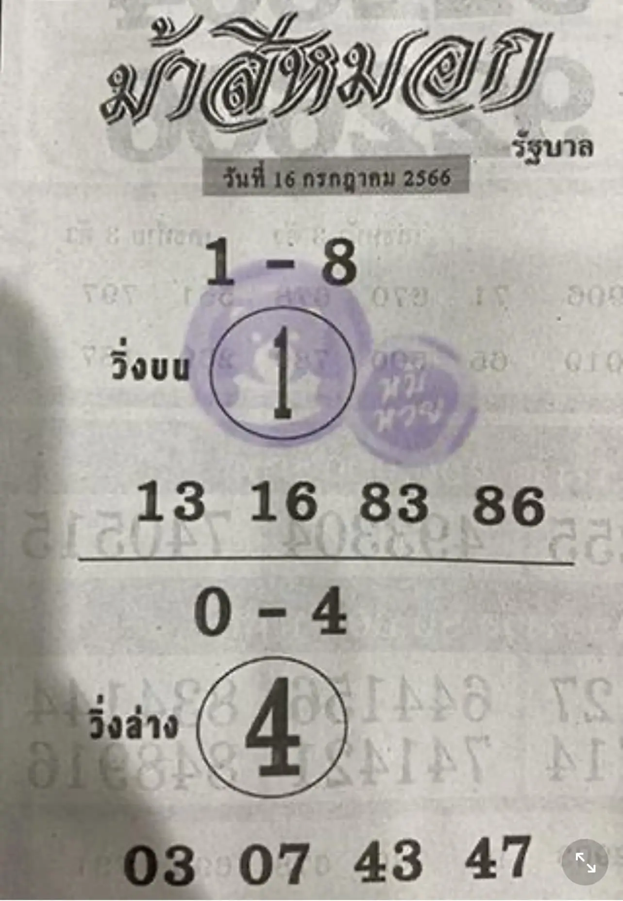หวยม้าสีหมอก-17-6-66
