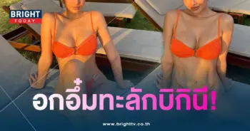 ใบเตย