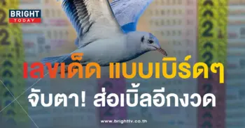 นกตาทิพย์ 1 9 66-min