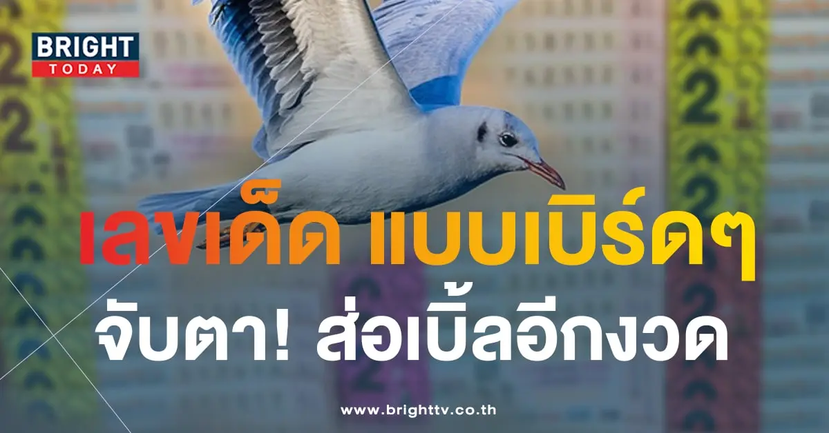 นกตาทิพย์ 1 9 66-min