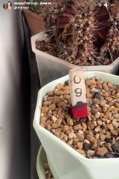 เลขธูป-หมอแก้วแม่นชัวร์-1-9-66