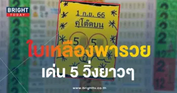 หวยใบเหลือง 1 9 66-min