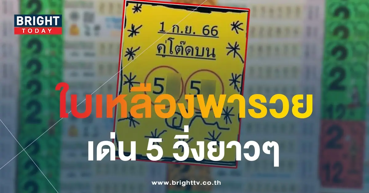 หวยใบเหลือง 1 9 66-min