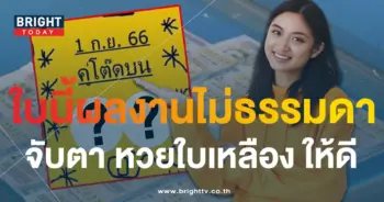 เลขเด็ด หวยใบเหลือง คู่โต๊ดบน 1 9 66-min