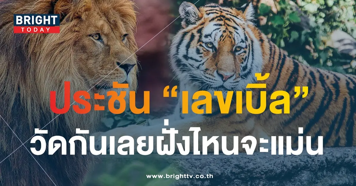 หวยสิงห์เหนือเสือใต้ 1 9 66-min