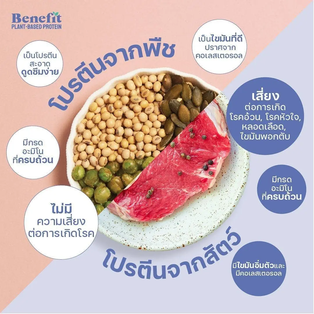 โปรตีนพืช-เบเน่ฟิต-min