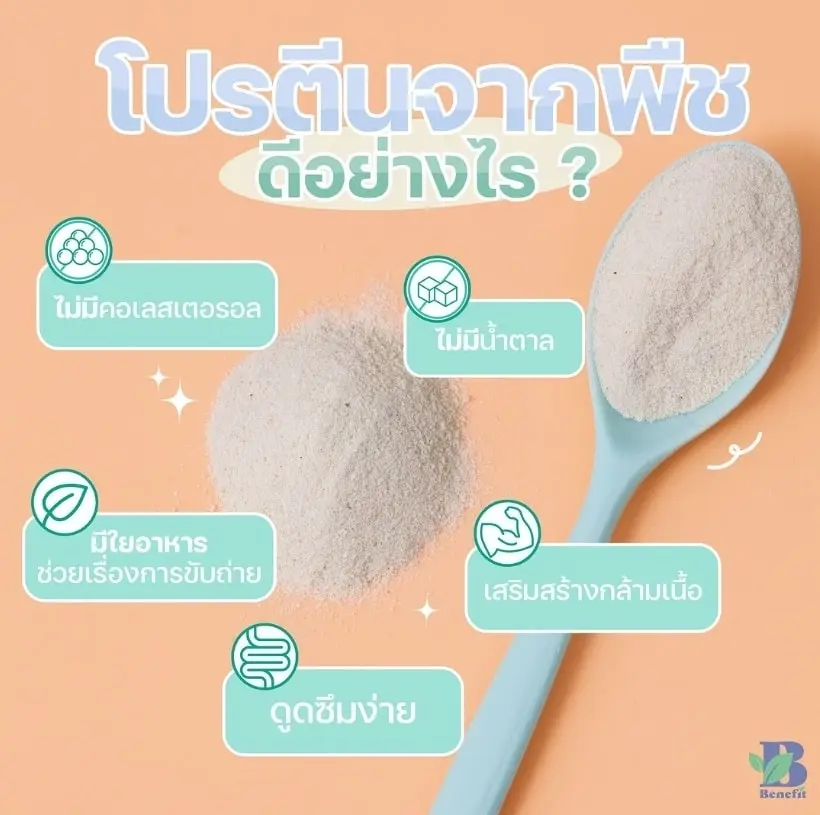 โปรตีนจากพืช-min