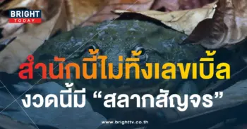 เลขเด็ดงวดนี้ 1 9 66 เลขเด็ด หวยพญาคันคาก-1-min