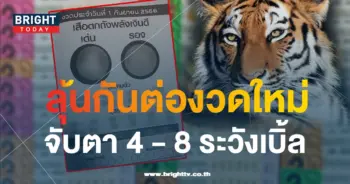 เสือตกถัง 1 9 66 1-min