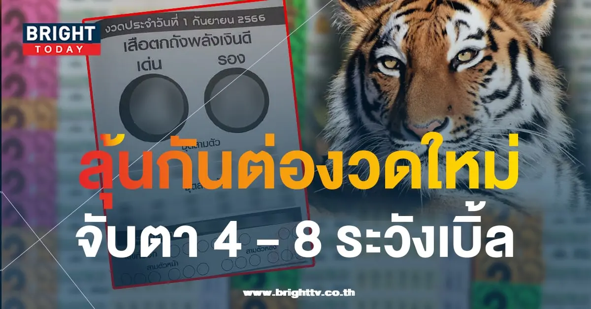 เสือตกถัง 1 9 66 1-min