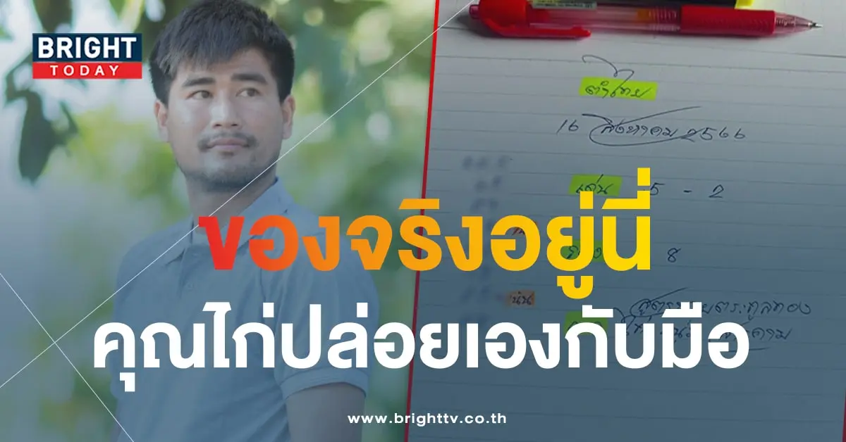 เลขเด็ด ไก่เจ้าพายุ 16 8 66-1-min