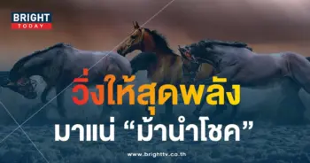 เลขม้าวิ่ง 16 8 66-min
