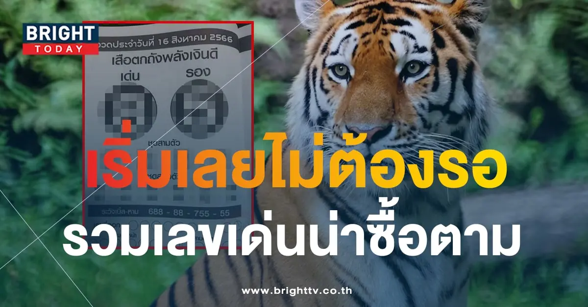 เลขเด็ด เสือตกถังพลังเงินดี 16 8 66-1-min