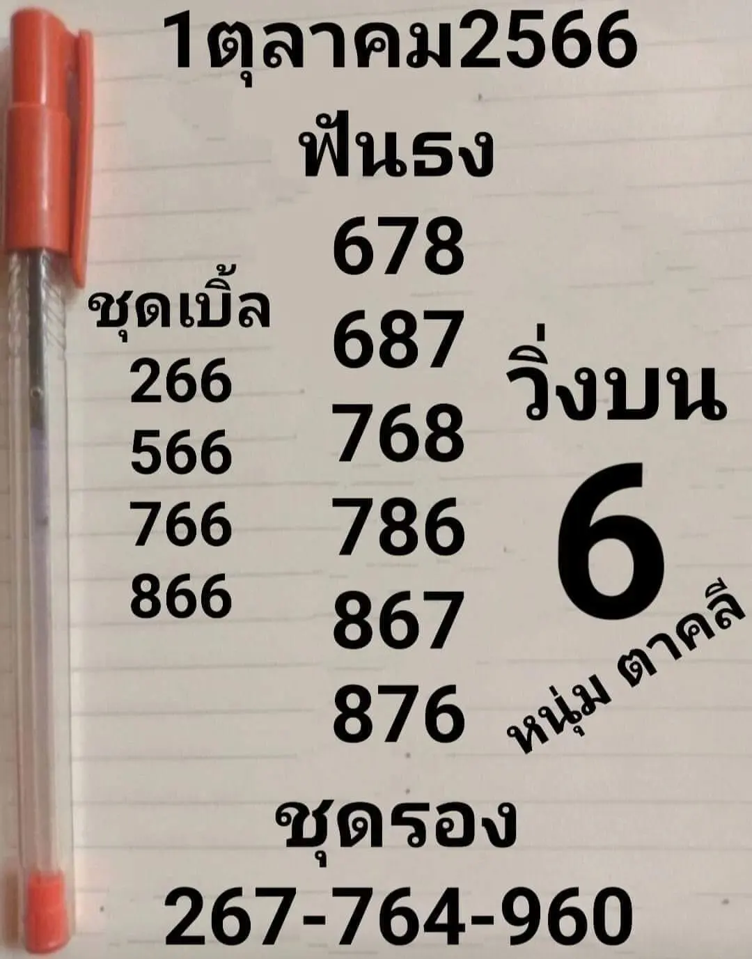 หนุ่มตาคลี-1