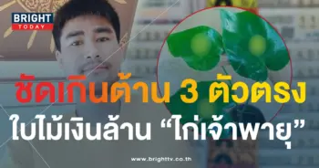 ไก่เจ้าพายุ 1 10 66 5-min