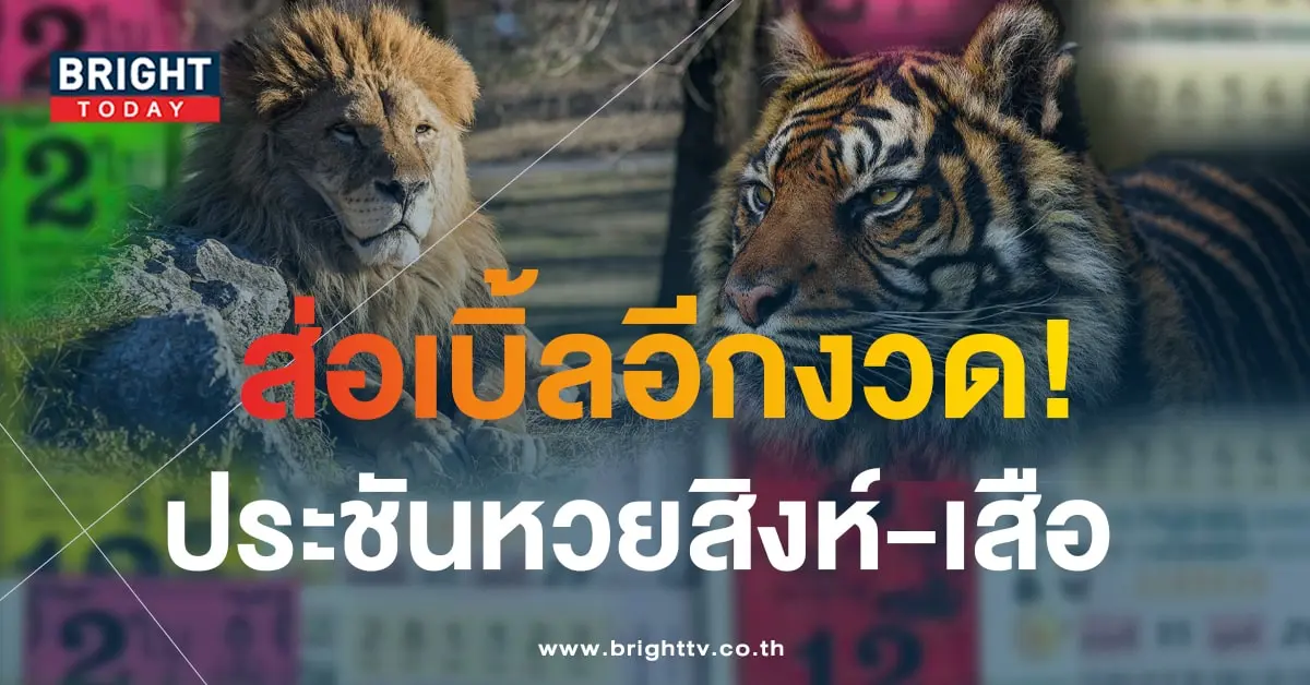 หวยสิงห์เหนือเสือใต้ 1 10 66-min