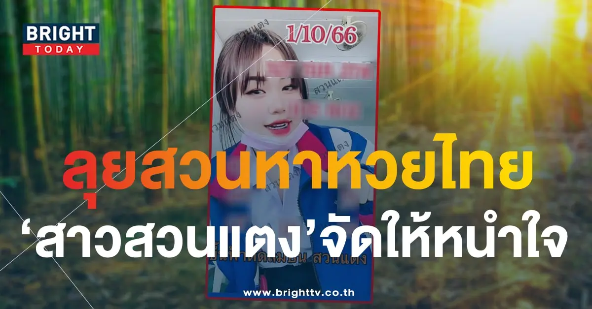 เลขเด็ด หวยสาวสวนแตง 1 10 66-1-min