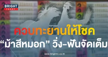 ม้าสีหมอก-min