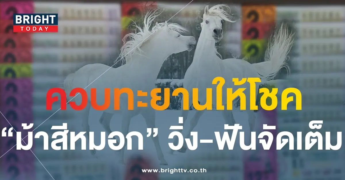ม้าสีหมอก-min