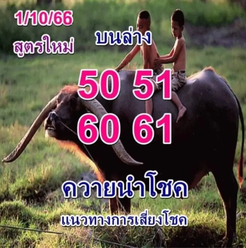 ควายนำโชค
