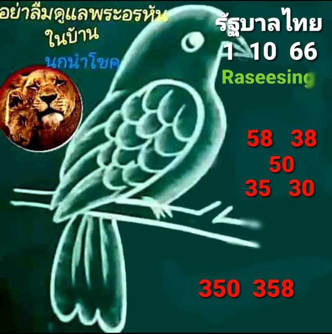 นกนำโชค-1