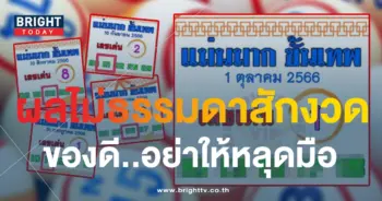 เลขเด็ด แม่นมากขั้นเทพ 1 10 66-1-min