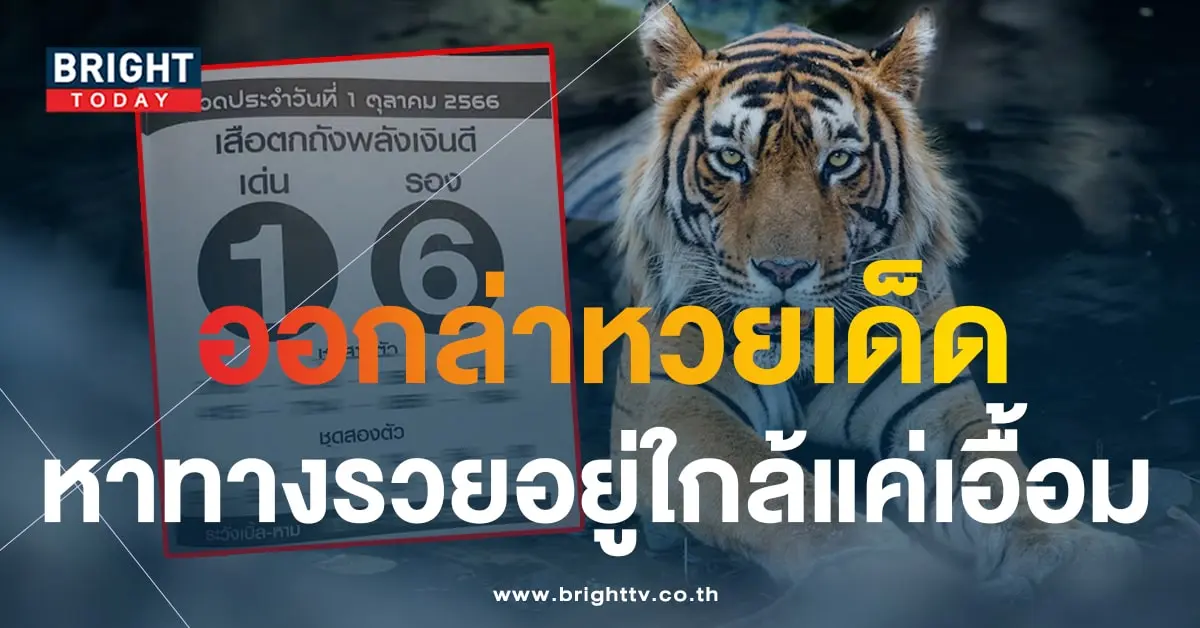 เลขเด็ด เสือตกถังพลังเงินดี 1 10 66-1-min