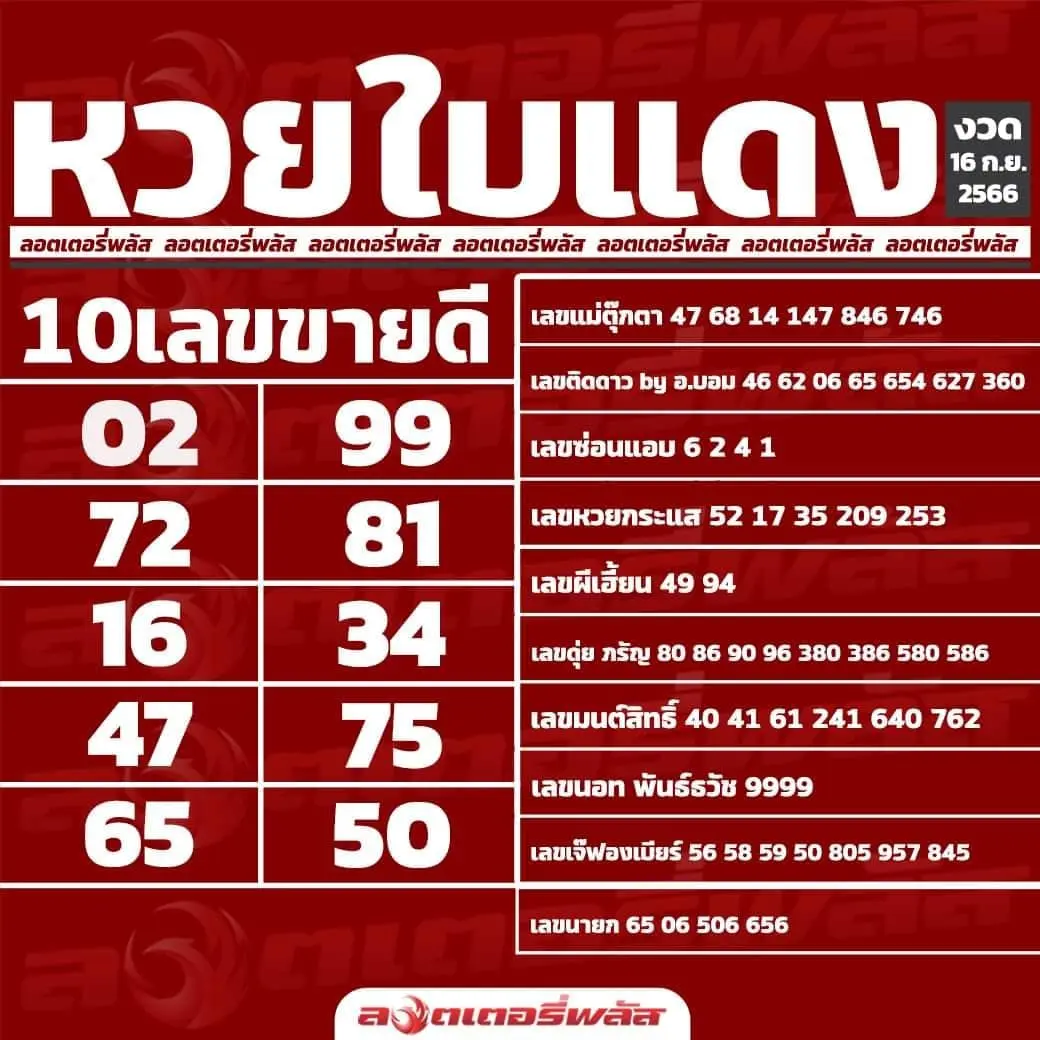 เลขเด็ด-หวยใบแดง-ลอตเตอรี่พลัส-16-9-66-min