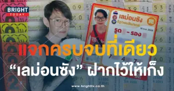 เลม่อนซัง-min