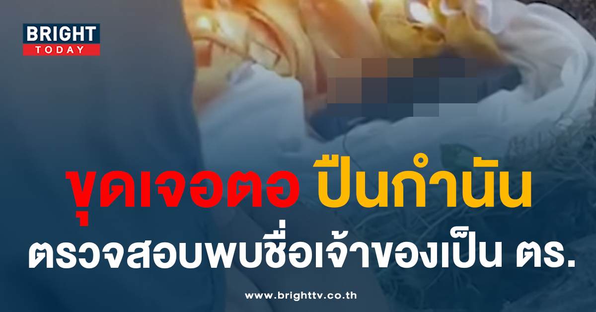 ปืน copy